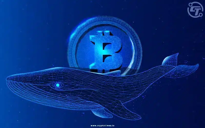 Mysterious Bitcoin Whale Accumulates Over $3 Billion