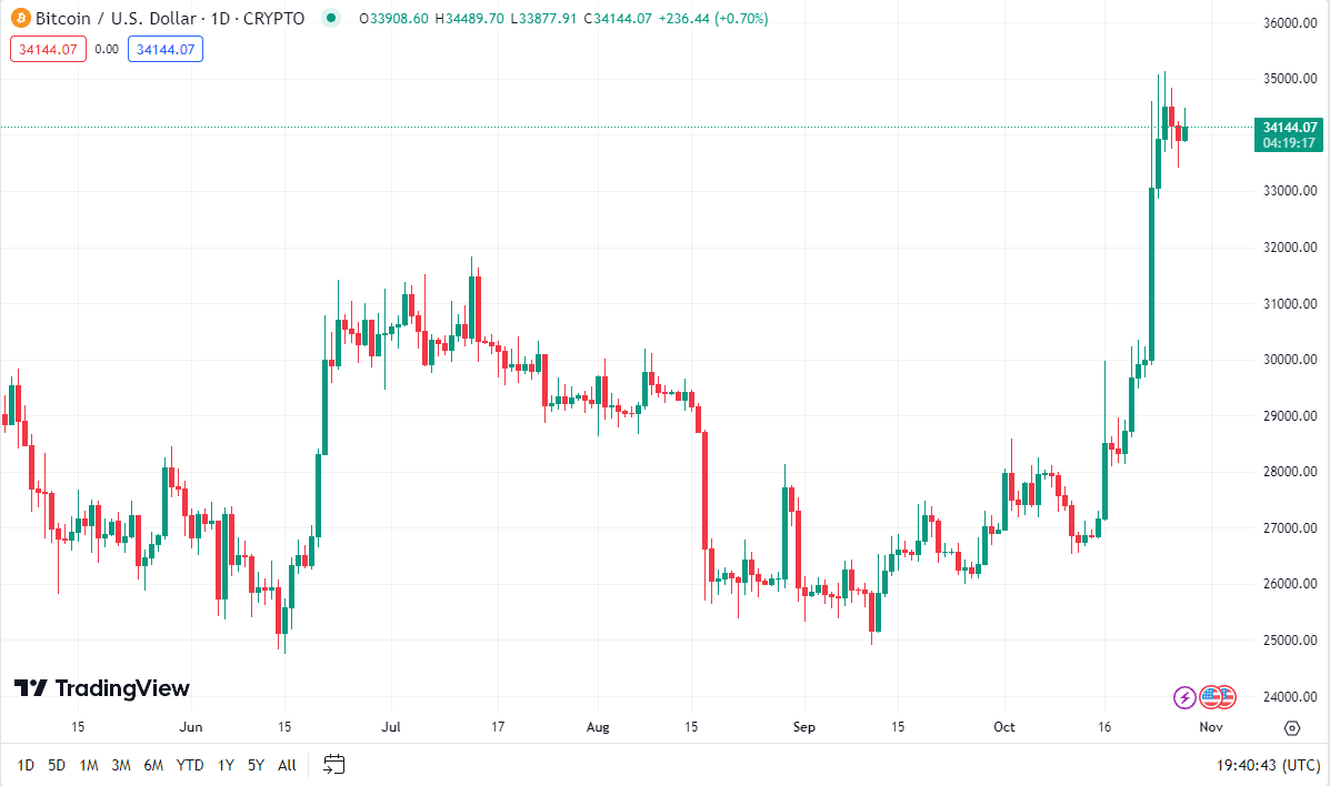 Bitcoin Price| Source: Trading View