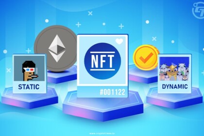 A Guide on Static and Dynamic NFTs in the Blockchain Industry 1