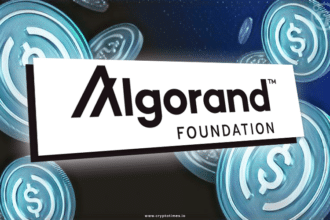 Algorand has a $35 Million USDC Exposure to Hodlnaut