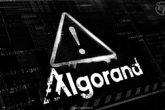 Algorand Foundation CEO's X Account Hacked, Urges Caution