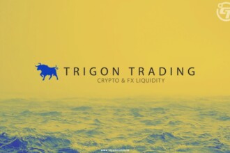 TrigonX will revive after the collapse of FTX