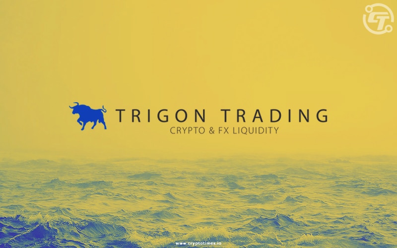 TrigonX will revive after the collapse of FTX