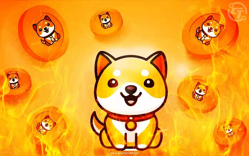 Baby Doge Proposes To Burn 5 Quadrillion Tokens From Supply