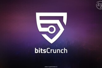 Blockchain Analytics Firm bitsCrunch