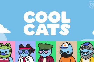 Cool Cats to Rebrand with a New Strategic Direction