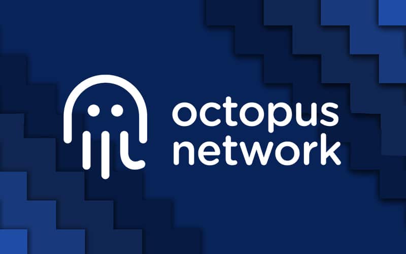 Octopus Network Slashes Off 40% of the Core Team