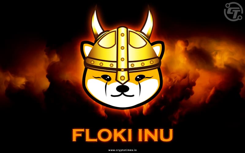 Chinese E-Commerce Giant AliBaba Partners With Floki Inu