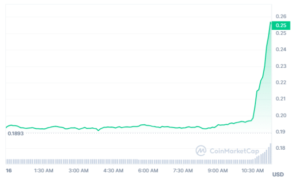 KLAY Token Price (24 Hours )