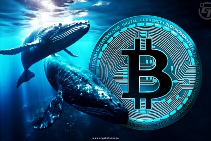 Mystery Whale Buys $1.3B in Bitcoin, Sparking Speculation