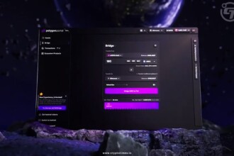Polygon Unveils Web3 Portal for Futuristic Web3 Interaction
