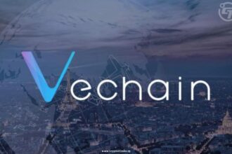 Price Analysis On New All Time High of Vechain