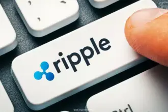 Ripple Unveils New Automated Trading System, Warns of Risks