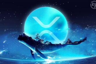 Ripple Whale Sent 23.8M XRP To Crypto Exchange Bitstamp