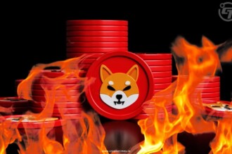 Shiba Inu Announce Massive 9.25 trillion Coin Burn in a Move