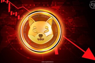 Shiba Inu Prices Drop 25%, Long Term Holders Remain Bullish