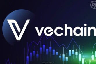 VeChain's Swift Security Reinforcement