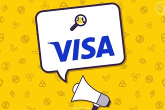 Visa Crypto Development Program