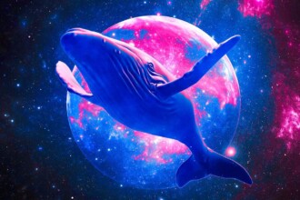 Ethereum Whale Withdraws $15.94 Million in ETH From Binance, Signalling Bullish Outlook