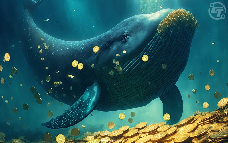 Crypto Whales Found Responsible for 2022 Bank Run