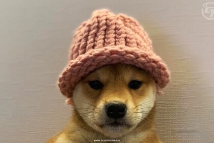 Dogwifhat Becomes the Third-Largest Meme Coin, As Bitcoin at $70K