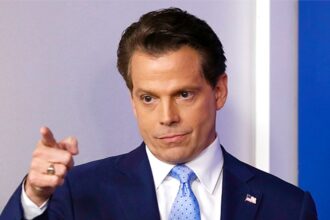 Scaramucci Defends Saylor Amid Bitcoin Harm Accusations