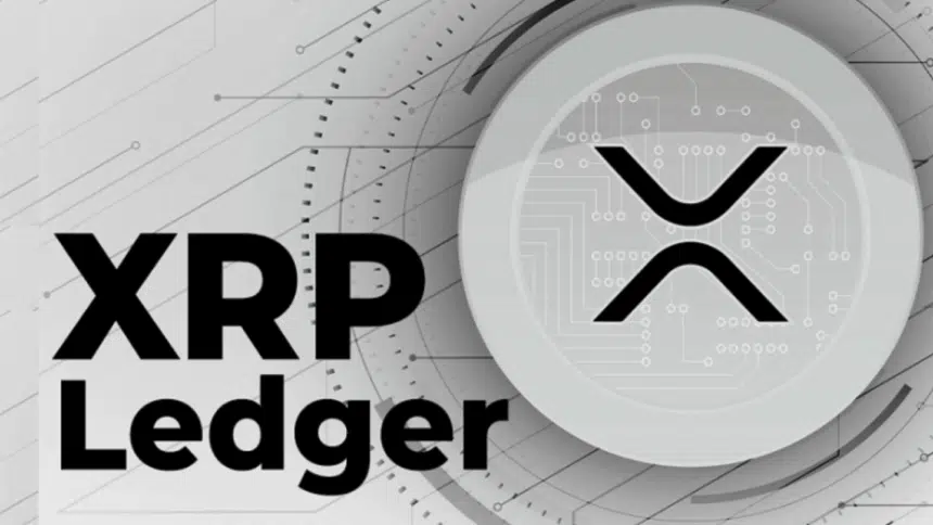 XRPL Grants Wave 7: Funding 7 Projects, Boosting XRPL Ecosystem