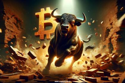 Bitcoin Bull Market to Top in Q4 2024