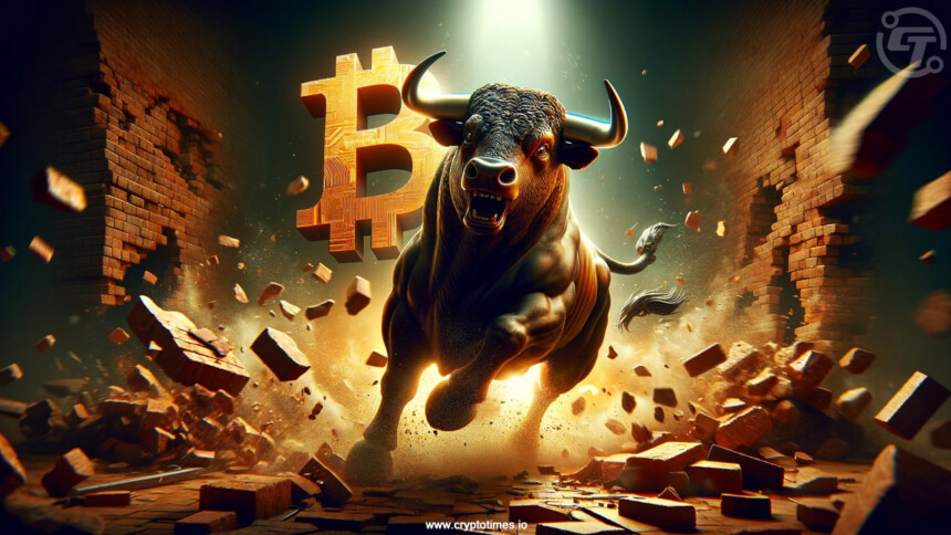 Bitcoin Bull Market to Top in Q4 2024