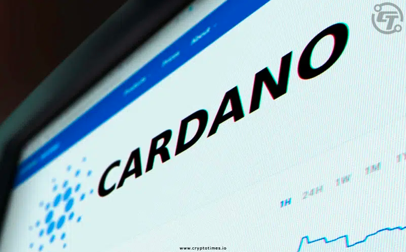 Cardano Blockchain Faces DDoS Attack at Block 10,487,530