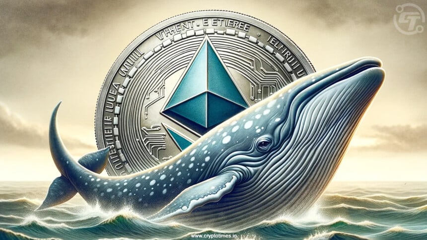 Ethereum Whales