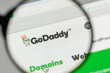 GoDaddy logo with Magnify glass in search bar