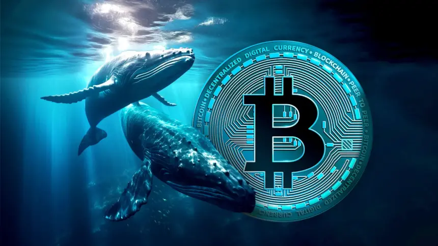 Bitcoin whales sold $1.2 Billion