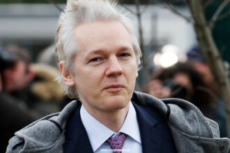 Julian Assange Released After His Plea Deal With U.S.