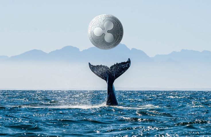 XRP Whales Transfer 52.18M XRP Amid Market Fluctuations