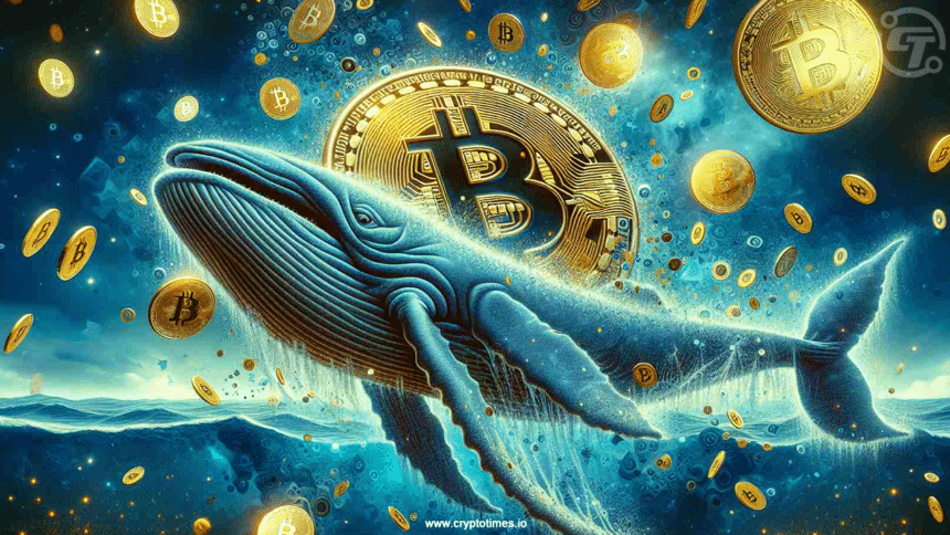 Bitcoin Whales Grab $1.4 Billion in a Single Correction Day