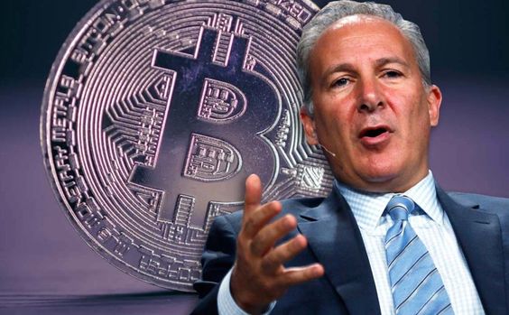 Peter Schiff Slams RFK Jr.’s Bitcoin Reserve Plan as ‘Vote-Buying’ Tactic