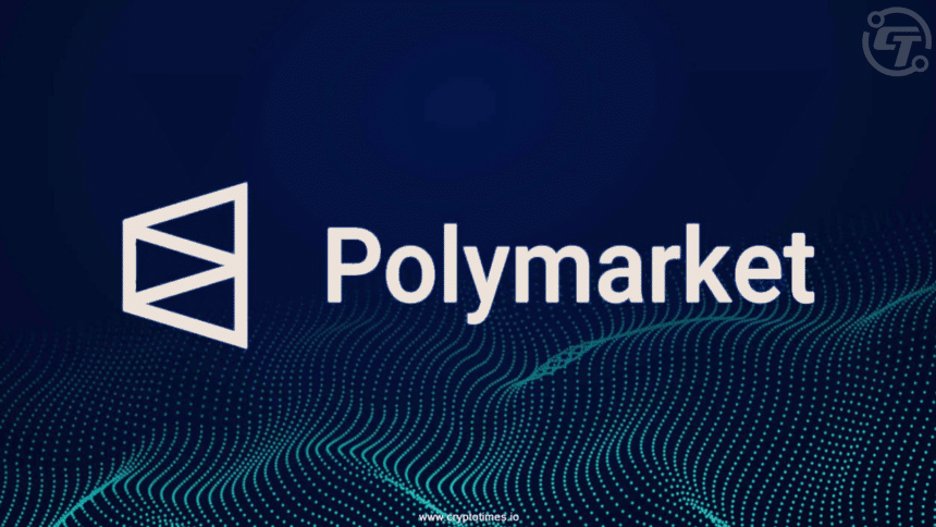 Polymarket user growth