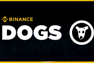 6 Billion DOGS are locked in Binance Launchpool in 3 Days