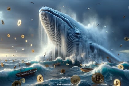 Bitcoin Whales Buy 84000 BTC in July 2024 Highest in Decade