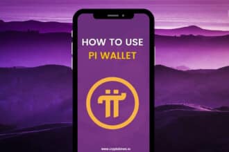 Master Your Pi Wallet: Setup, Security, Troubleshooting Tips