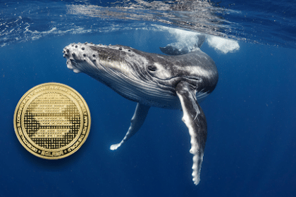 SOL Whales Flock to RCO Finance as Presale Hits Milestone