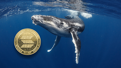 SOL Whales Flock to RCO Finance as Presale Hits Milestone