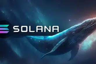 Solana Drops to $137 as Whales Unstake