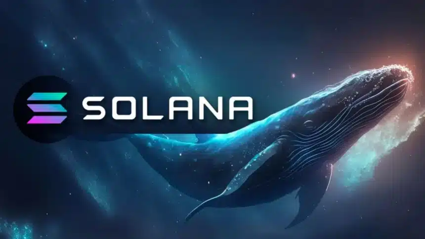 Solana Drops to $137 as Whales Unstake