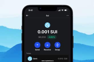 Complete Guide On How To Use Sui Wallet