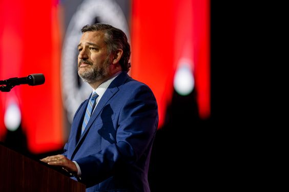 Texas Blockchain Council Endorses Ted Cruz For Senate Reelection