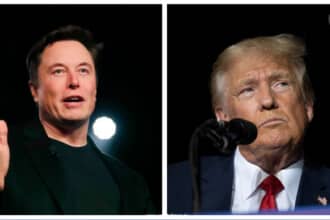 Trump Eyes Elon Musk for Cabinet Role if Elected in 2024