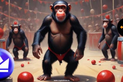 Binance says not our circus not our monkeys to WazirX users