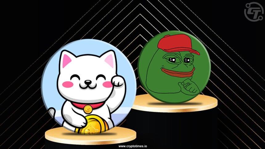 Bitcoin Halving 2024: Pepe & Cutoshi in Traders' Spotlight